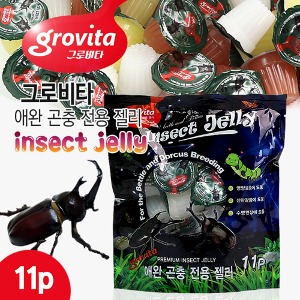 [그로비타]곤충젤리 11P